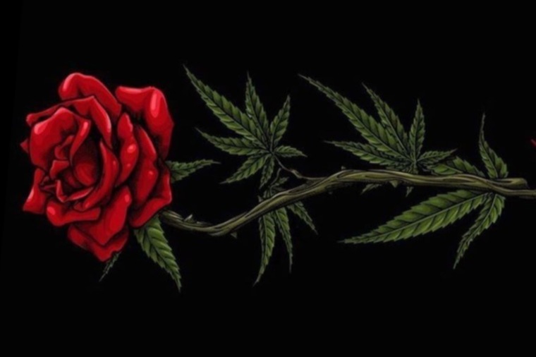 Kardash Daddy 420😶🌫️ cover image