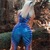 littleinsane avatar