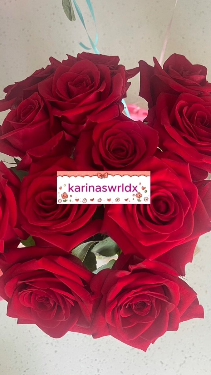 Karina banner image