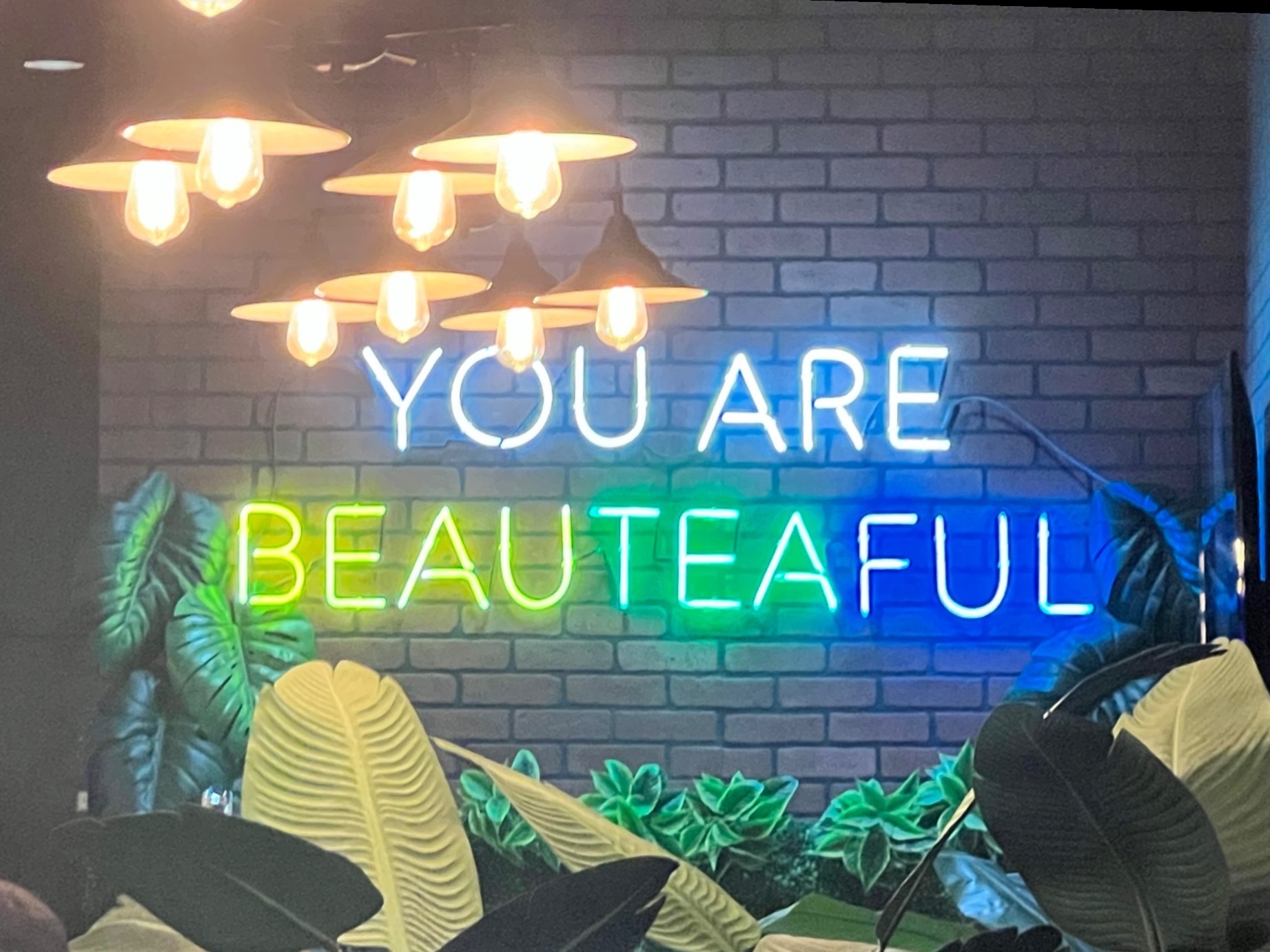 Karla Pano banner image