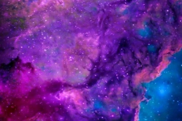 Daniela cover image