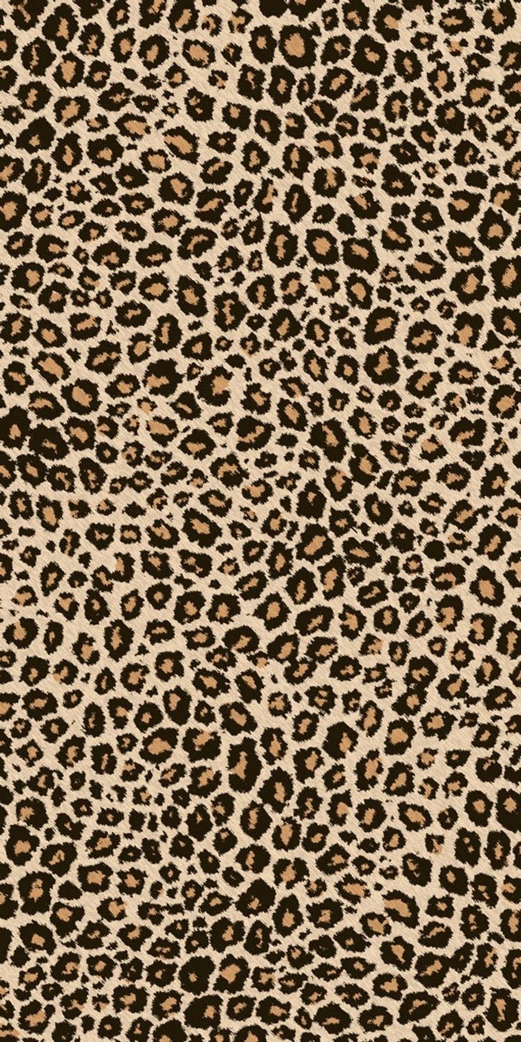 Kat cover image