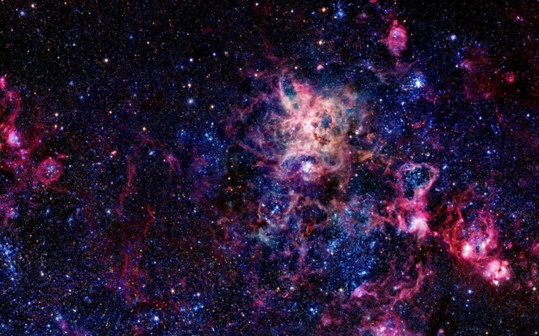 Kate cover image