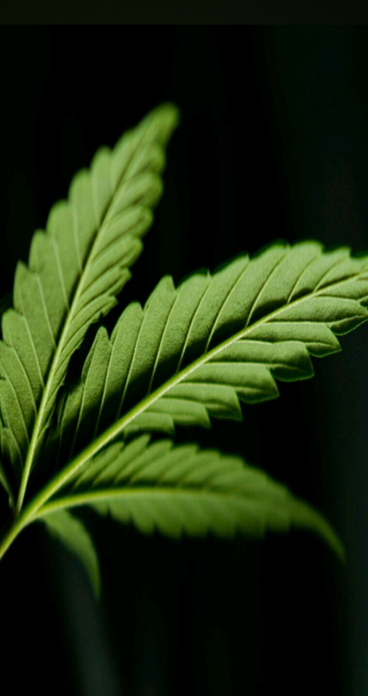 KathyFire420 cover image