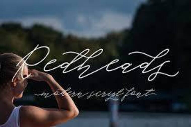 Kat cover image