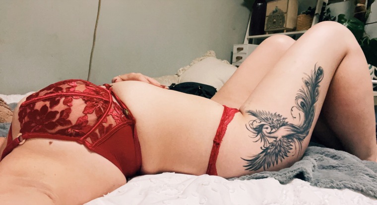Katnip banner image