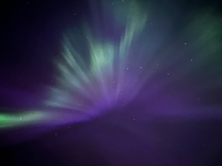 Kate banner image