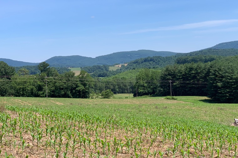 Kat banner image