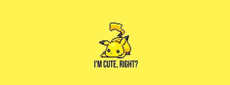 KatThePikachu banner image