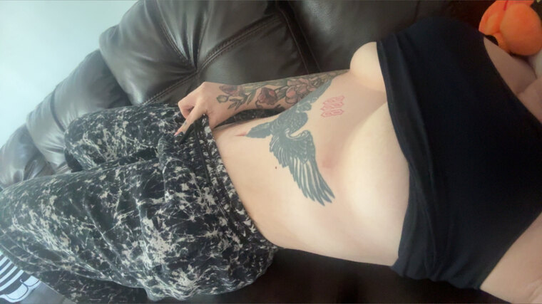 Kat Von Purr-fect banner image