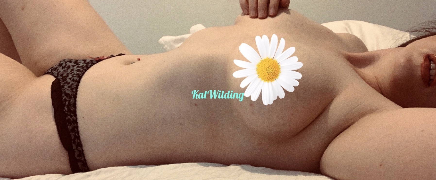 Kat Wilding banner image