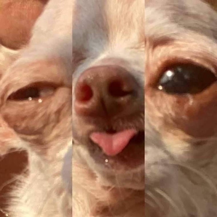 KaviKawaii banner image