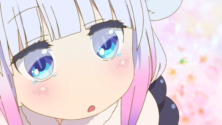 Mika Conn banner image