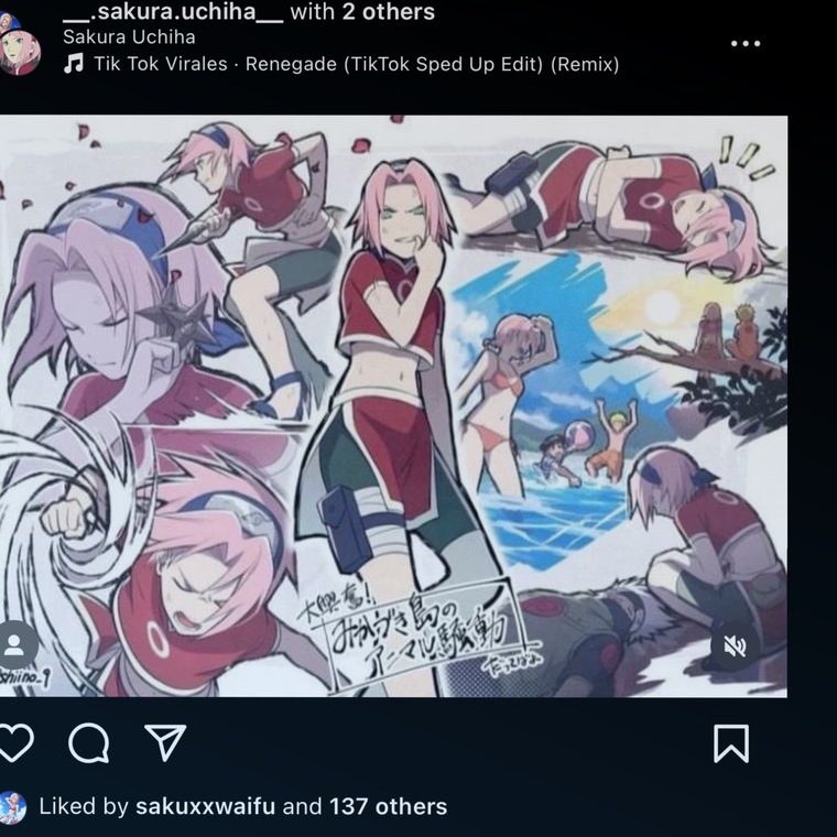 ホットガール cover image