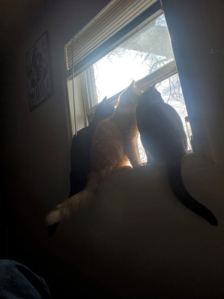 CallMeKay banner image