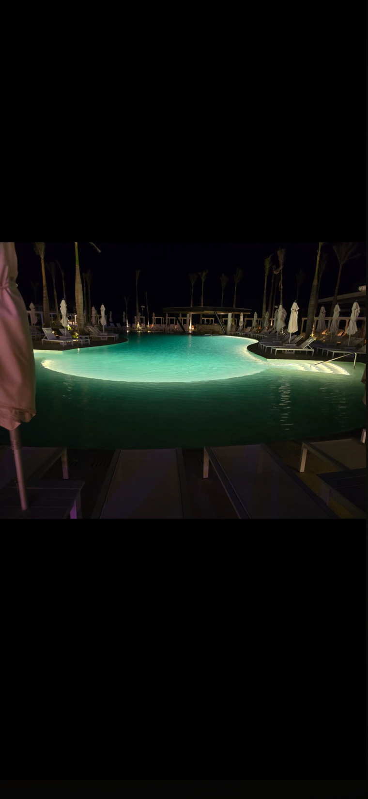 Stag down under. banner image