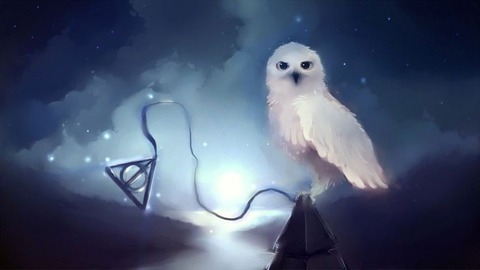 Kaykaybug cover image