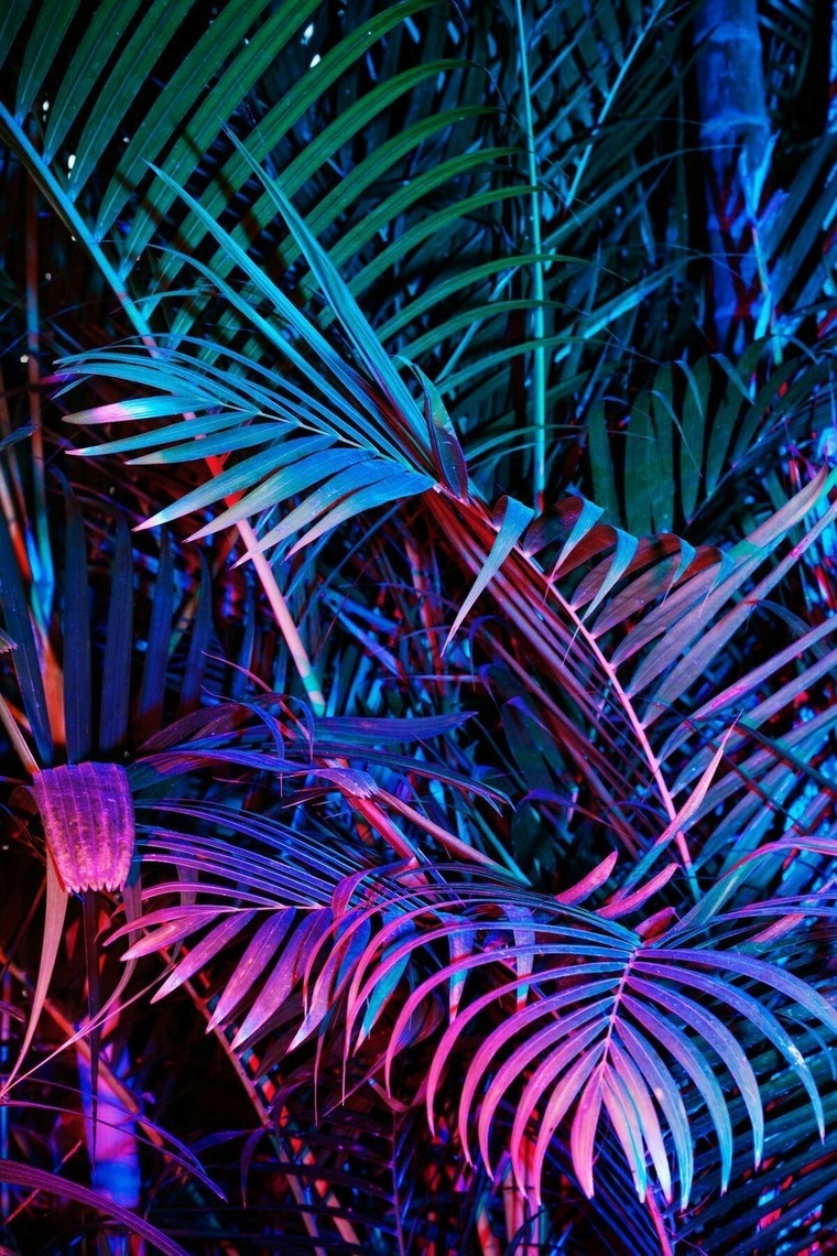 Kaysie_Tanner cover image