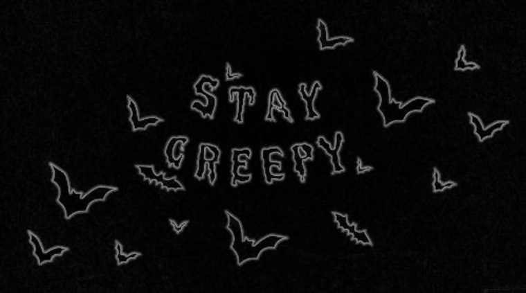 KayZ cover image