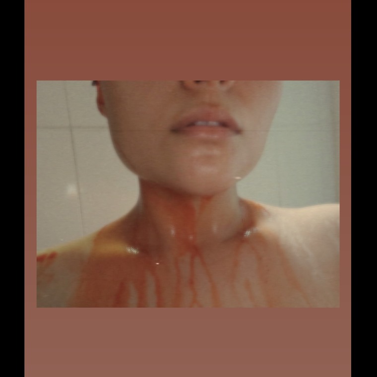 Kiwi cover image