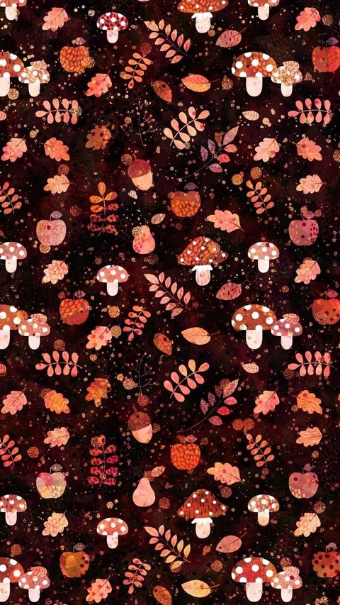 Kboo666 cover image