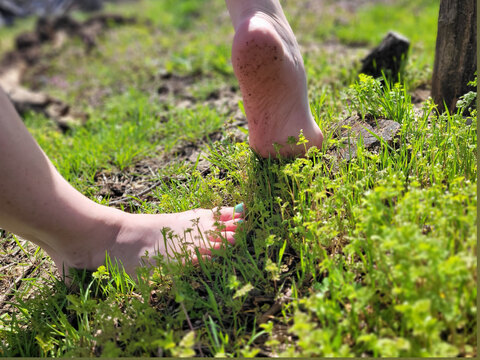 KC Nature Girl cover image