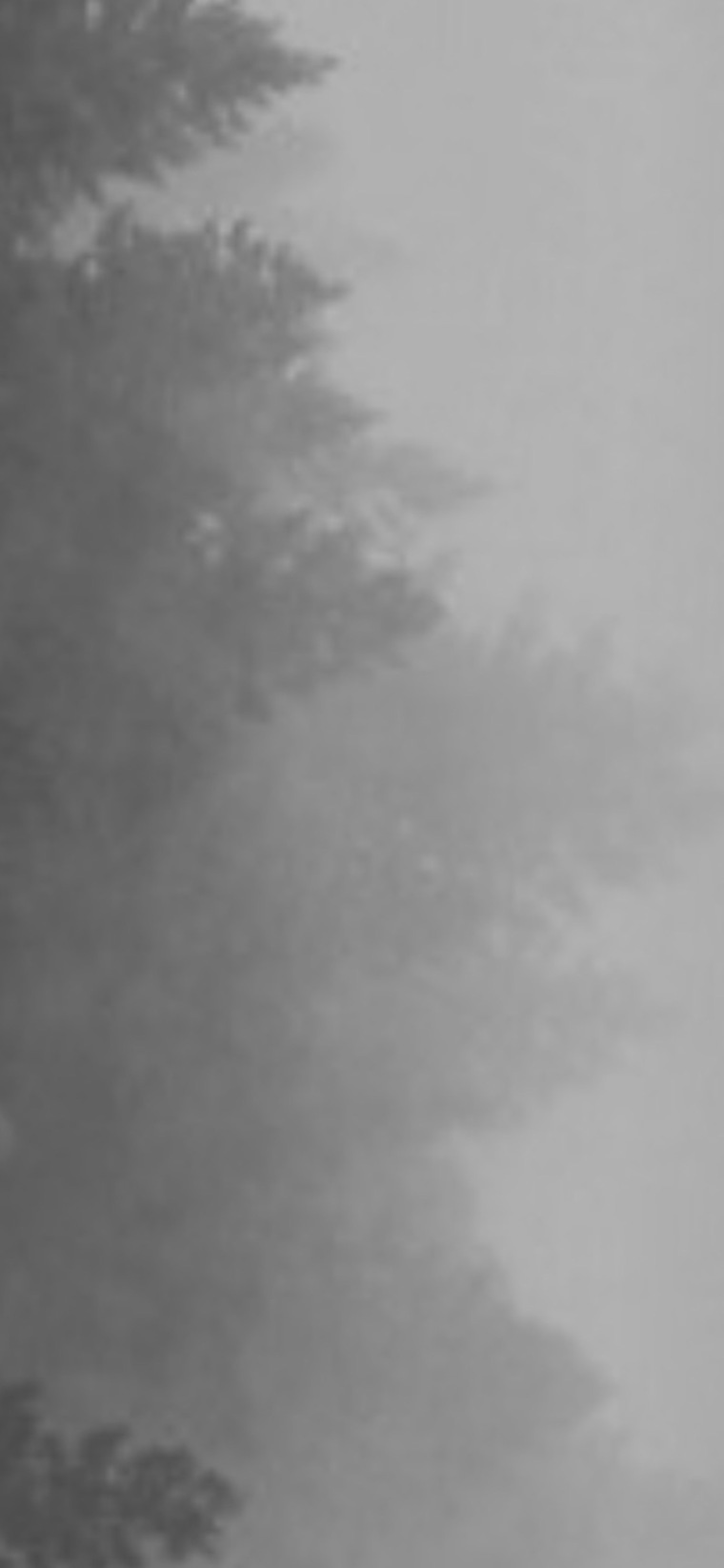 slenderman…. cover image