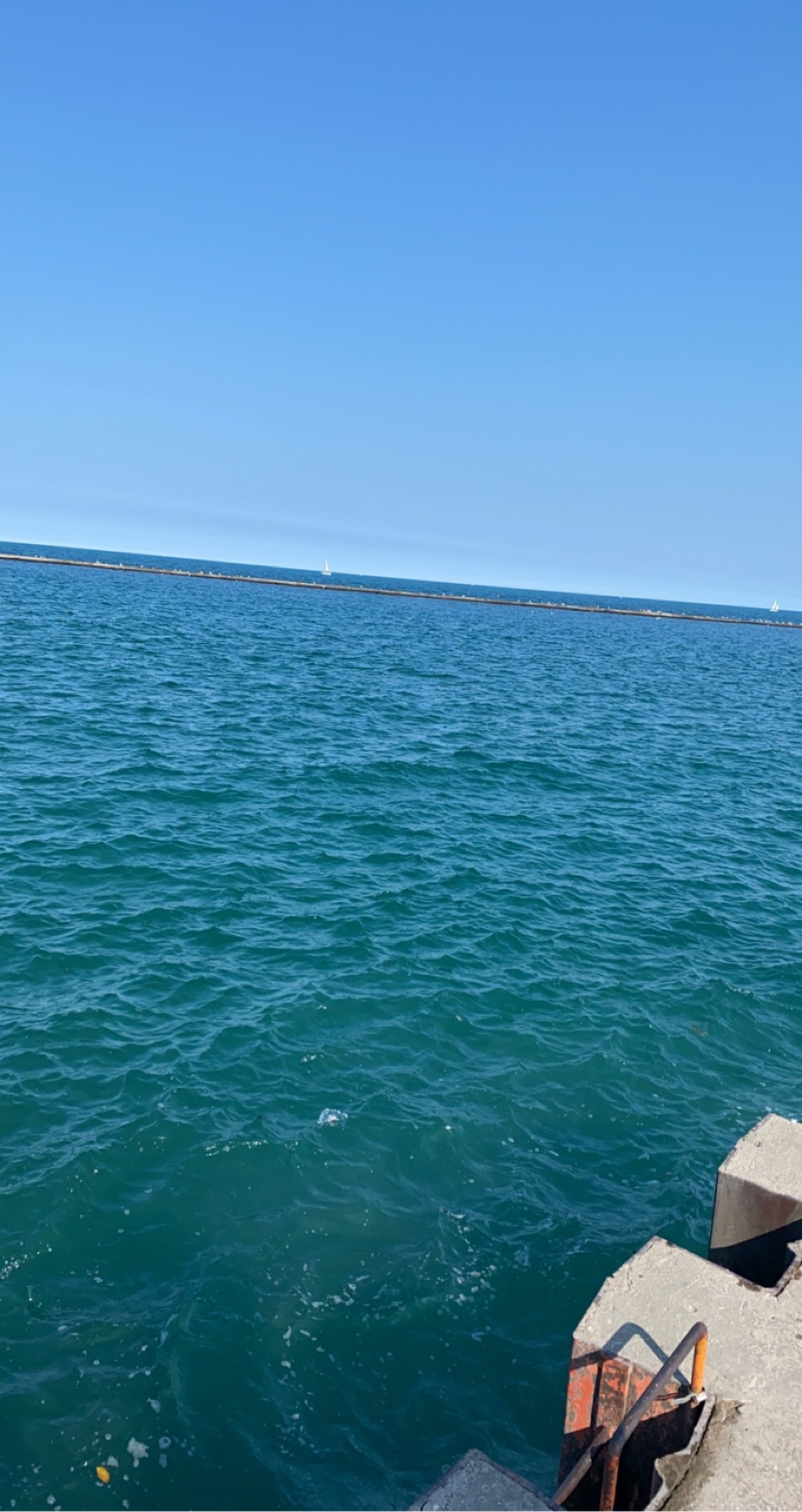 KelliZombie banner image