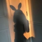 Kelly Delight avatar