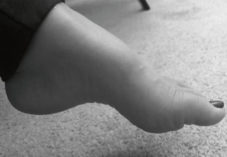 kelseyturtlez banner image