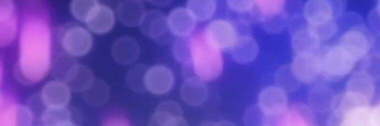 Ken Suzuki banner image