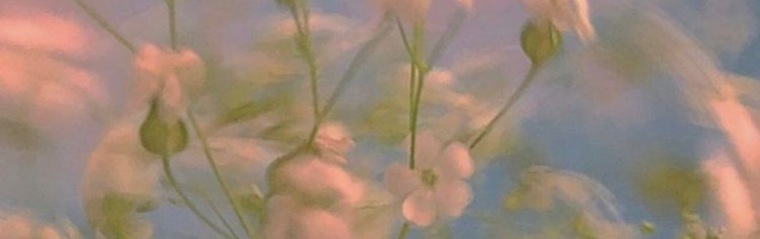 Kennedy Parker cover image