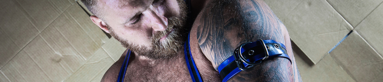 Keno Bear cover image
