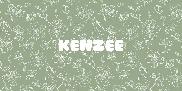 Kenzee cover image