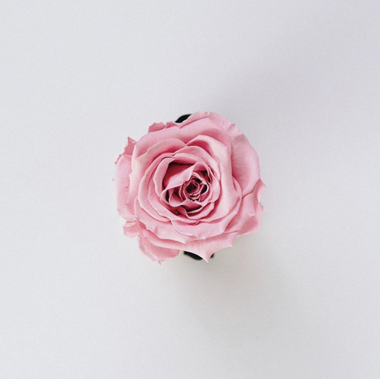 KersTina cover image