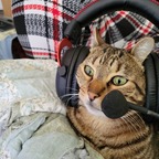 Kevin The Cat avatar