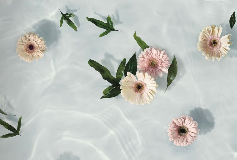Flower feet cover image