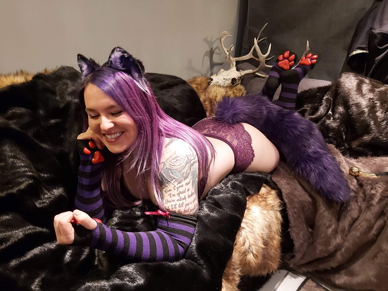 KibblesNBits cover image