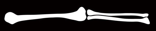 Kickingskate banner image