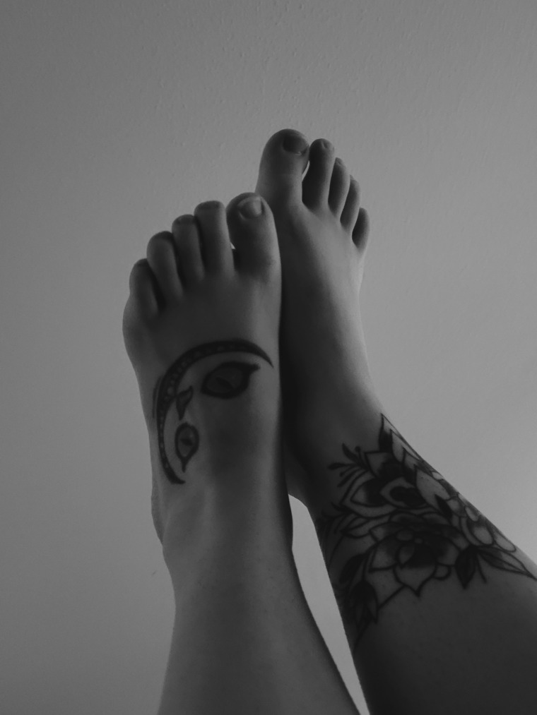 KittyPaws banner image