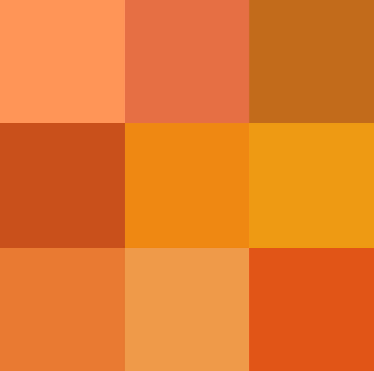 Kike Paz banner image