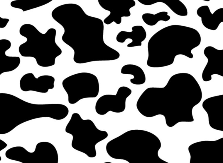 Kiki banner image