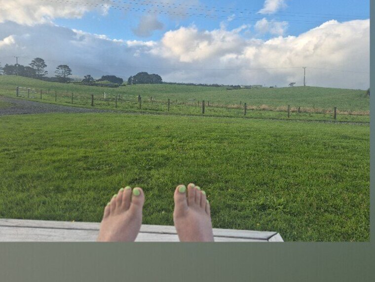 Barekiwisoles cover image