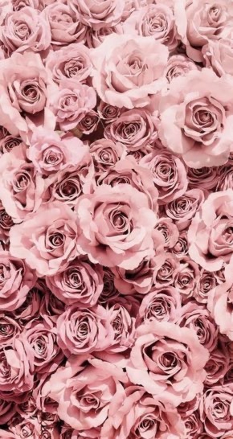 🎀Kimberly 🎀 cover image