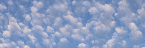 King_favc cover image