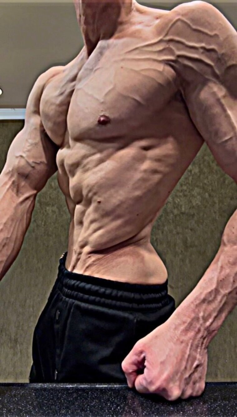 King Shredz banner image