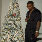 King Cash avatar