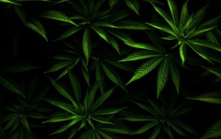 $KingDLegend$ banner image