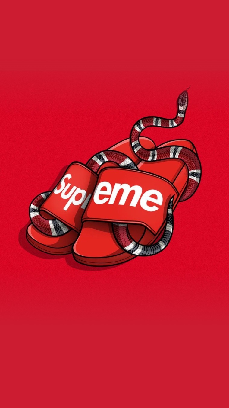Slim cover image