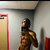 King avatar